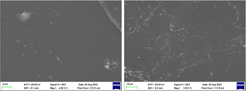 Lithium foil sample stored in Transfer Shuttle for one hour