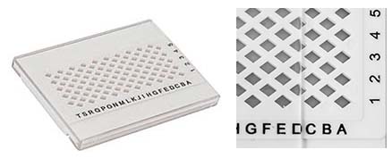 TEM Grid Storage Boxes for TEM grids and lift out grids - Rave Scientific