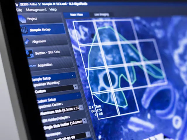 High Resolution FESEM-ZEISS SIGMA - Rave Scientific