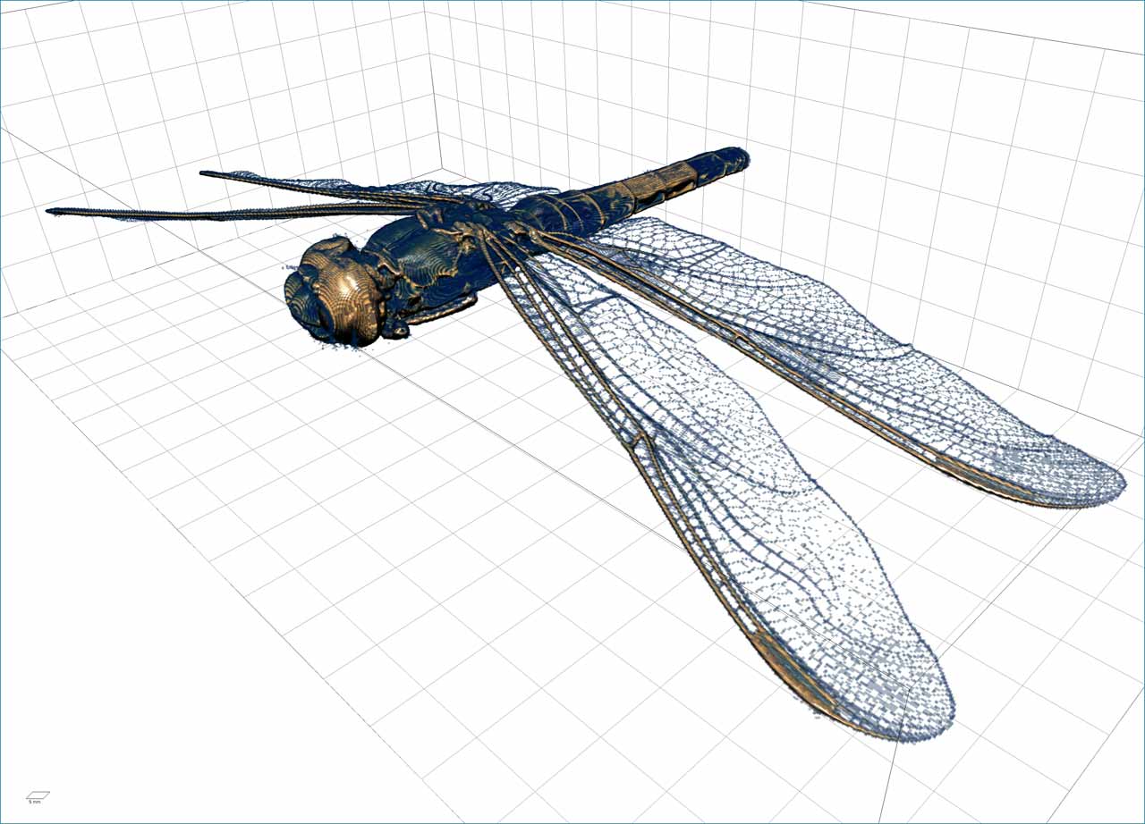 dragonfly scan