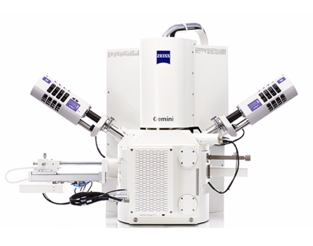 zeiss sigma field emission scanning electron microscope
