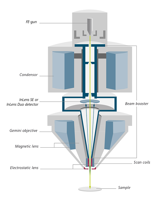 sigma objective lens